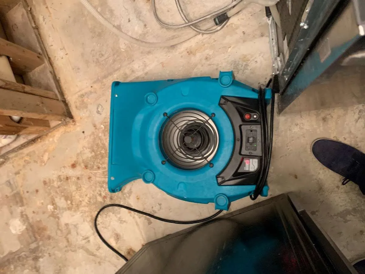 Air mover drying equipment for Mold Remediation & Removal in Leland
